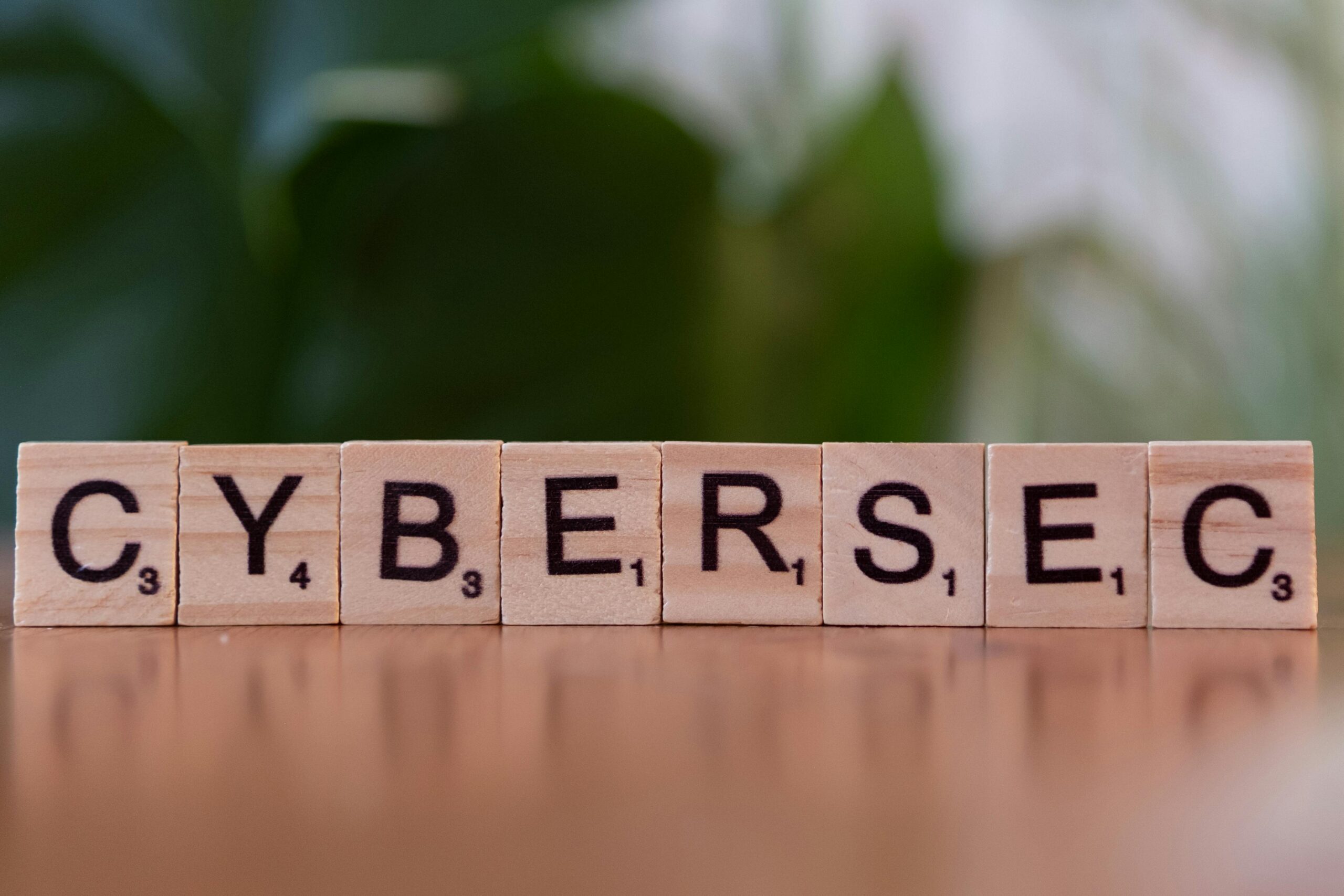 RytPik Cybersecurity Services Markham